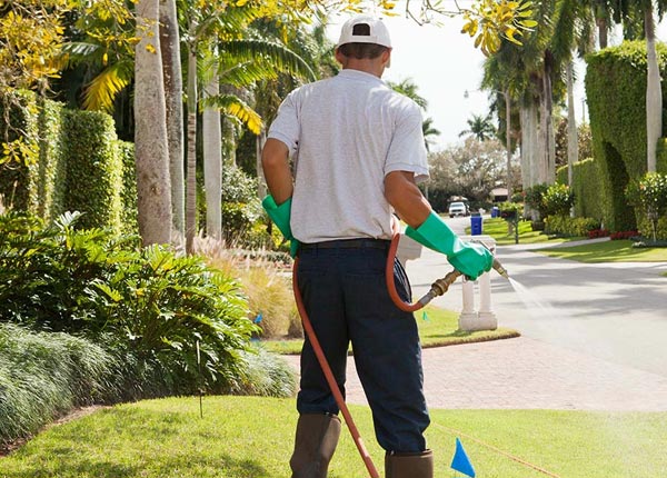 About Garber IA Pest Control